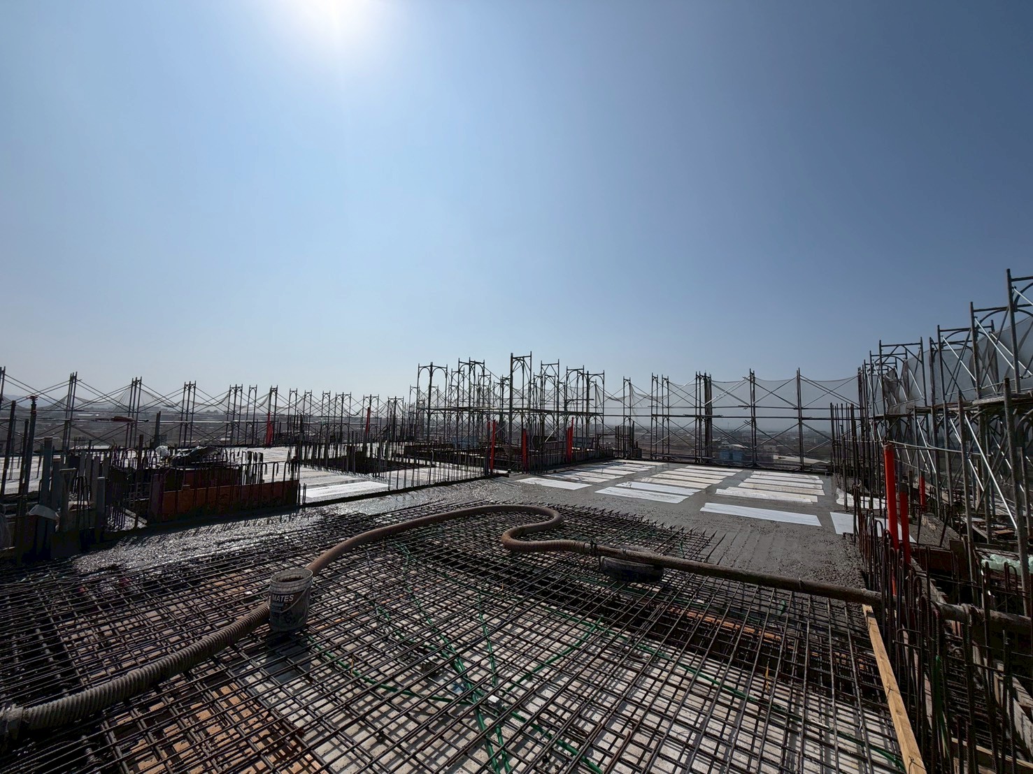 《發現苑麗》【10FL灌漿與養護】2026/02/11